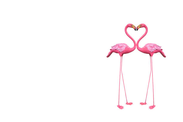 istock Pelicans pink stucco on white background. 639949638