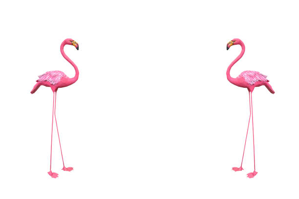 istock Pelicans pink stucco on white background. 639949648