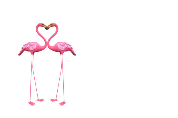 Pelicans pink stucco on white background.