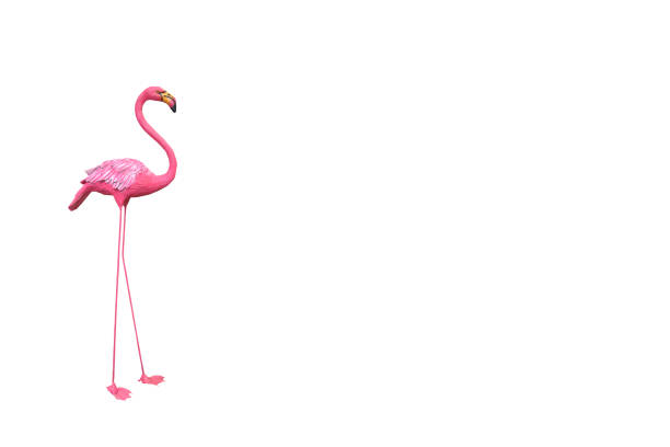 istock Pelicans pink stucco on white background. 639949692