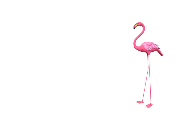 istock Pelicans pink stucco on white background. 639949702