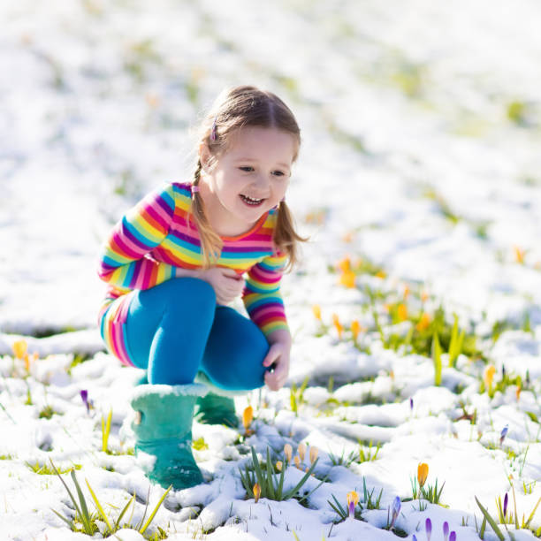 милая маленькая девочка с цветами крокусов под снегом весной - crocus easter spring flower стоковые фото и изображения