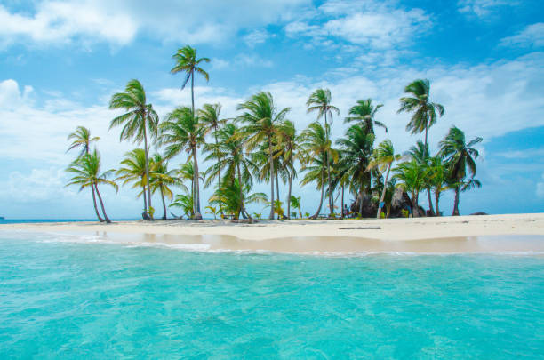 paradise tropical island - san blas archipelago in panama - san blas bildbanksfoton och bilder