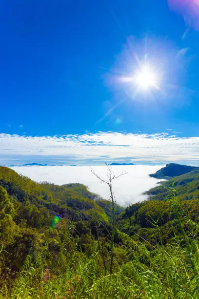 Photo of Haputale Hill Country Above Sea Clouds Valley V