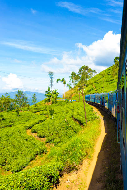 istock Sri Lanka Tea Plantation Hill Country Train Ride V 639954716