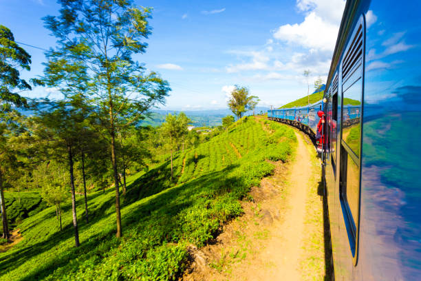 istock Sri Lanka Tea Plantation Hill Country Train Ride H 639954898