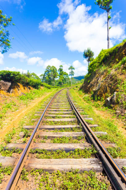 istock Haputale Hill Country Train Tracks Centered V 639957202