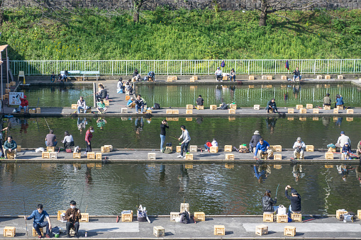 Tokyo, Japan. Nov 5, 2016. Fishing is activity of trying to catch fish. Technique for catching fish include spearing, netting and trapping. People at commercial fishing pond during weekend.