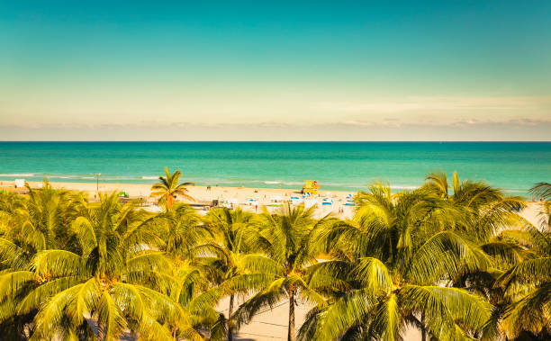 istock Public beach behind the palm trees in Miami Beach 639959116