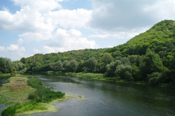 istock River landscape and wood 639962560