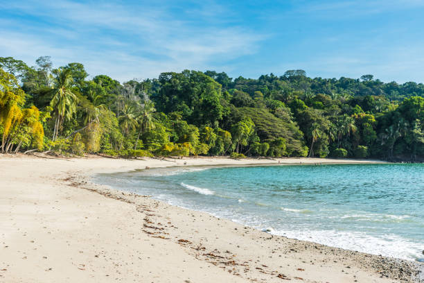 istock Manuel Antonio, Costa Rica - beautiful tropical beach 639962794