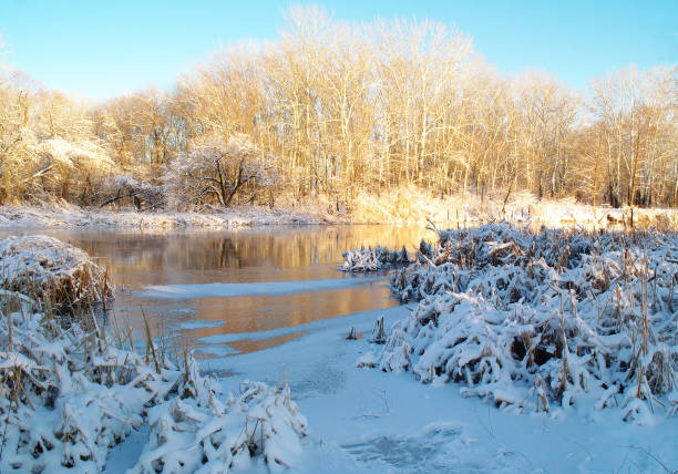 istock Winter on the frozen river 639963030