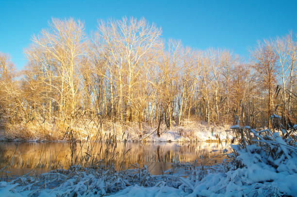 istock Winter on the frozen river 639963092
