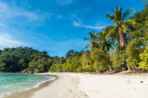 istock Manuel Antonio, Costa Rica - beautiful tropical beach 639963096