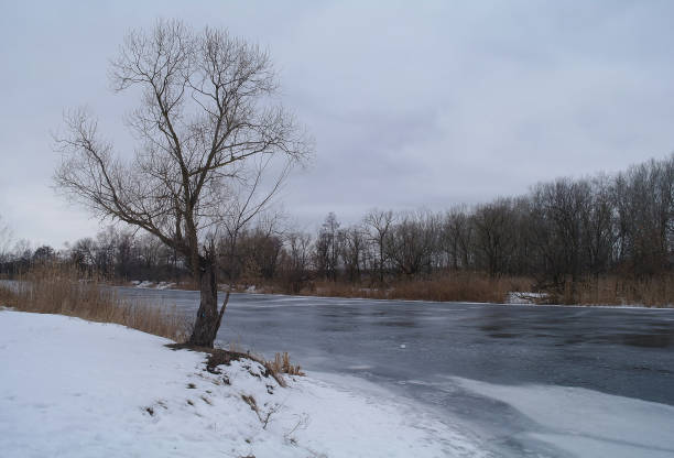 istock Winter on the frozen river 639963200