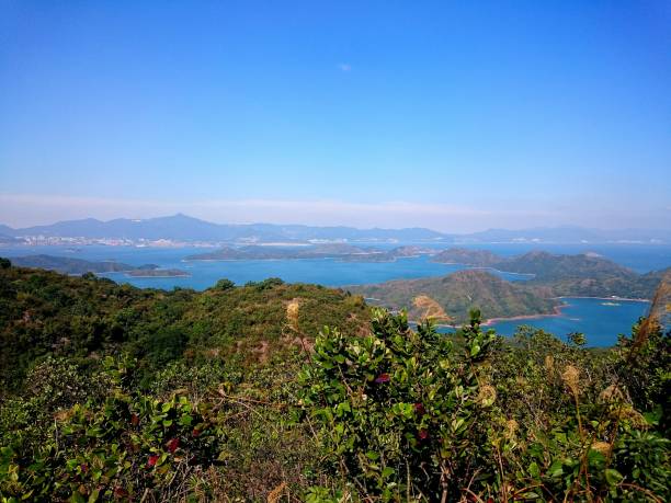 istock Luk Wu Tung  - Hong Kong 639967482