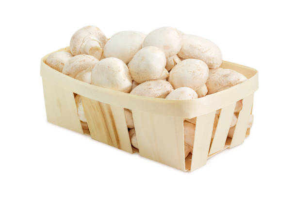 istock Cultivated common button mushrooms in the wooden basket 639967726