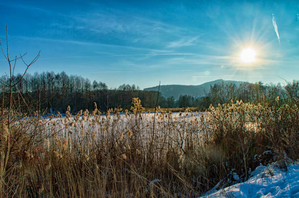 Winter landscape at the Lake in Ilmenau Thuringia, Germany