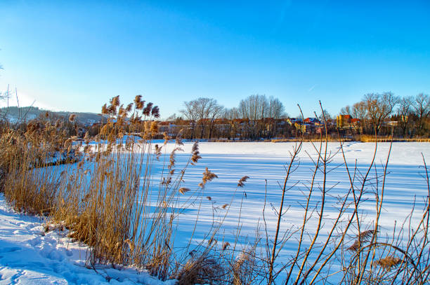 Frozen lake with snow covered in Ilmenau Thuringia, Germany