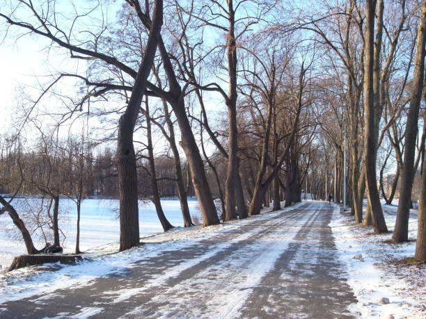 istock Beautiful winter in the park. 639972344
