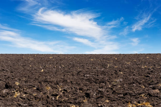 negro campo y cielo azul - mud terrain fotografías e imágenes de stock