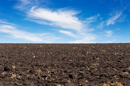 Texture of cultivated field and sky. Black plowed field and blue sky with clouds. Agriculture