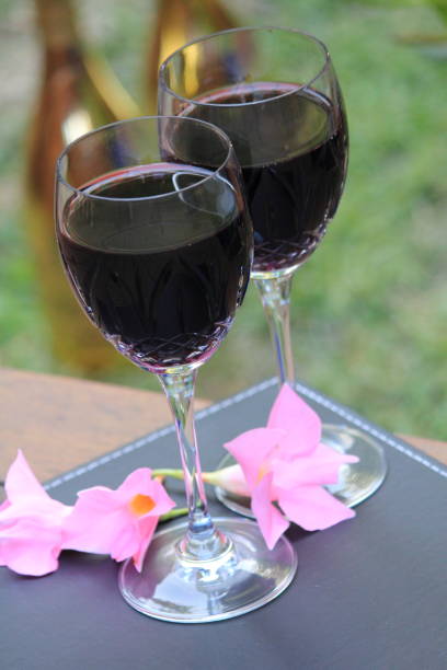 two glasses of red wine on the wooden deck - decked imagens e fotografias de stock