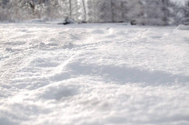 Fresh Snow Cover Stock Photo - Download Image Now - Snow, Close-up