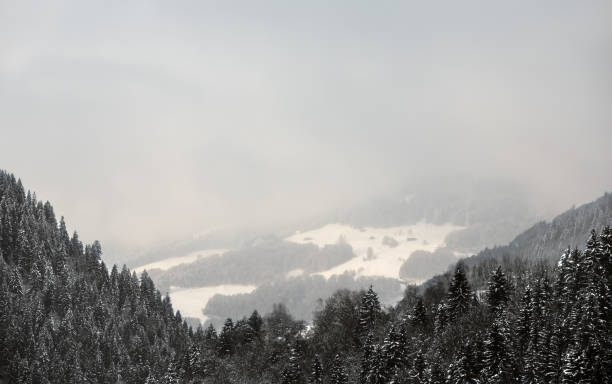 istock Swiss Alps near Davos, Switzerland 639980616