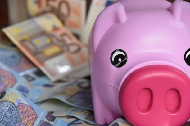 istock Piggy Bank and Euro 639980832