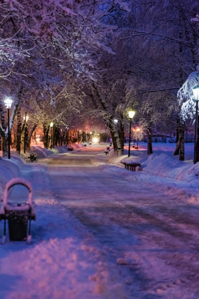 istock Alley night lamp winter 639982138