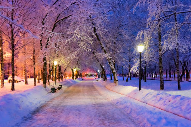 istock Alley night lamp winter 639982622
