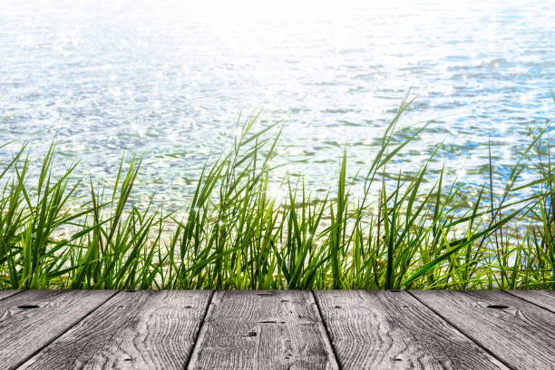 istock jetty in front of the lake 639985450
