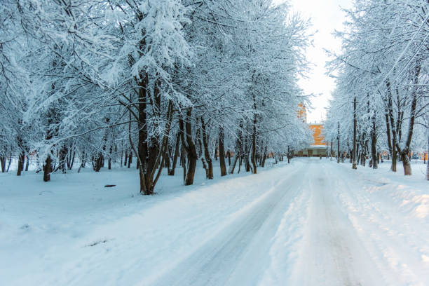 istock winter road in the woods 639987082