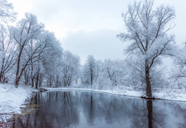istock not frozen pond in winter 639987670