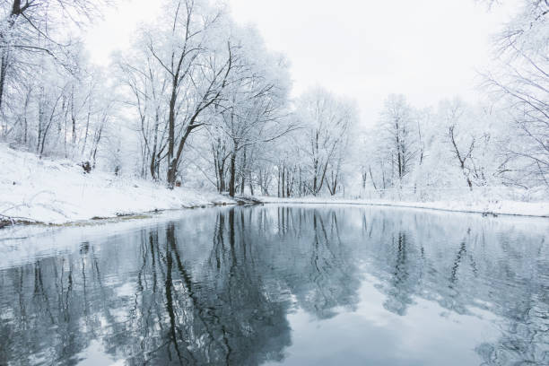 istock not frozen pond in winter 639987938
