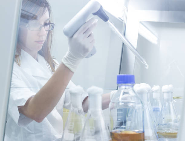 istock Life scientist researching in the laboratory. 639988512