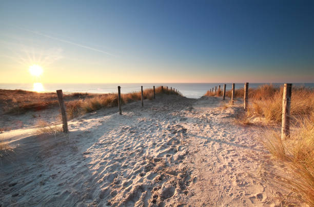 istock sunlight over sand path to North sea beach 639989066