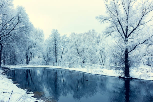 istock not frozen pond in winter 639989374