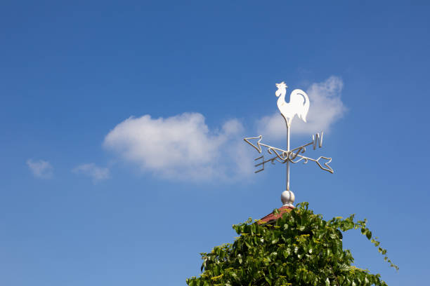 istock White rooster weather vane show wind direction 639991614