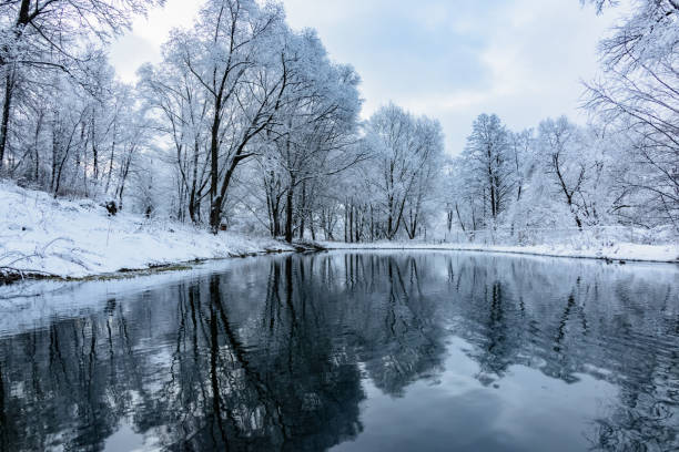 istock not frozen pond in winter 639991822