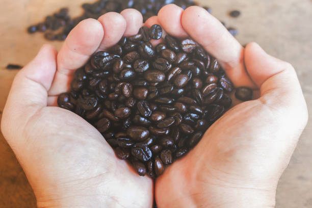 istock Coffee concept. Hands in sac with roasted coffee beans 639991854