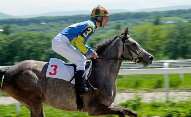 istock Horse racing in Russia 639992480