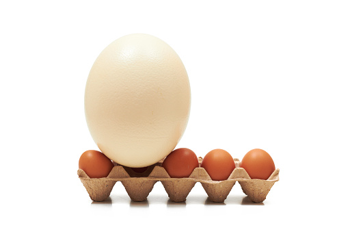 Ostrich and chicken eggs on the tray