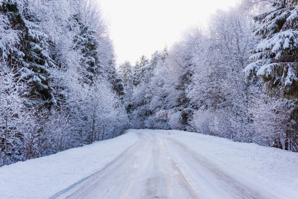 istock winter road in the woods 639994322
