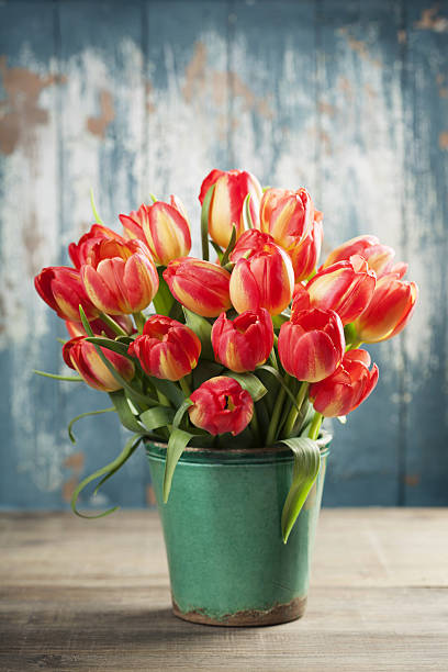 istock Beautiful tulips bouquet on wooden table 639997804