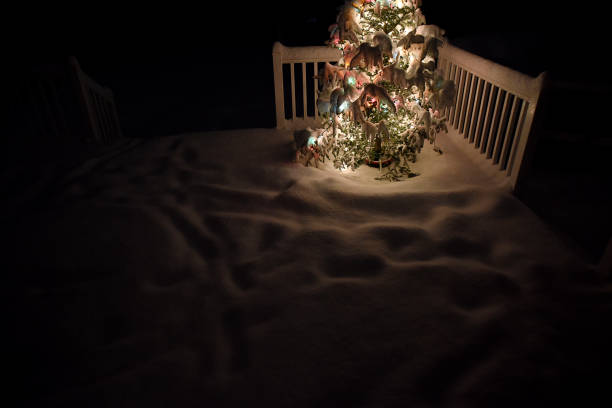 A Christmas tree covered with snow with its lights on.