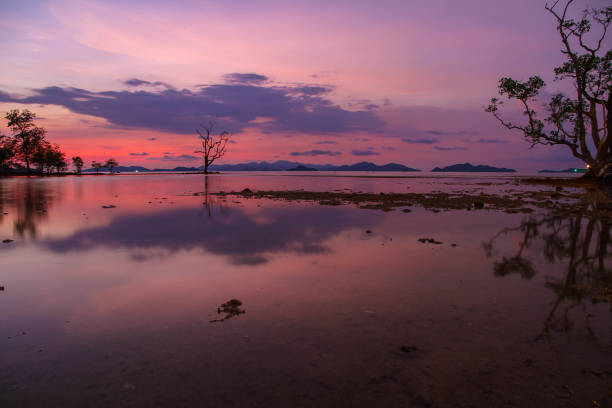 istock Sunset beach at cinnamon art resort. 639999236