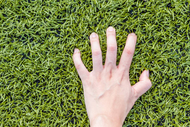 istock girl hand on soccer field grass 640000072