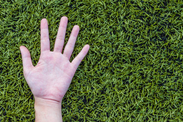 istock girl hand on soccer field grass 640000148
